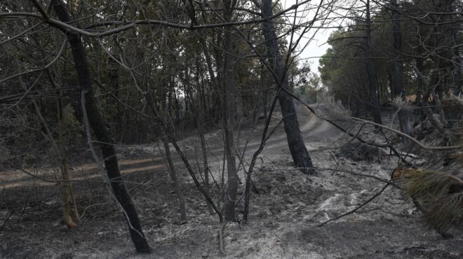 αναστολή-καταβολής-ασφαλιστικών-εισ-562602751