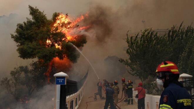 wwf-οι-φωτιές-δεν-σβήνονται-από-τον-δρόμ-562602424