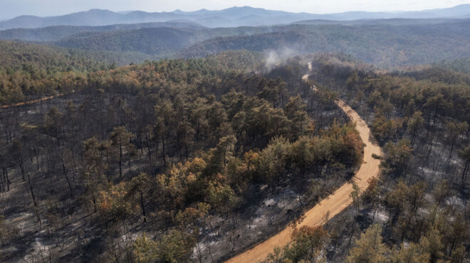 οι-άγνωστοι-ήρωες-της-φωτιάς-στον-εβρο-562633780