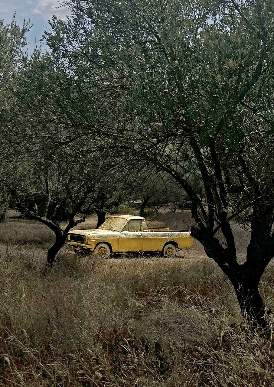 Dionysios: Ο καλλιτέχνης που μετέτρεψε ένα Datsun σε έργο τέχνης-1