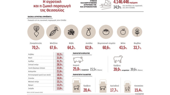 κακοκαιρία-daniel-φόβοι-για-ελλείψεις-τροφ-562611751