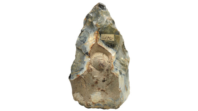 οι-ροντέν-των-νεάντερταλ-562638820