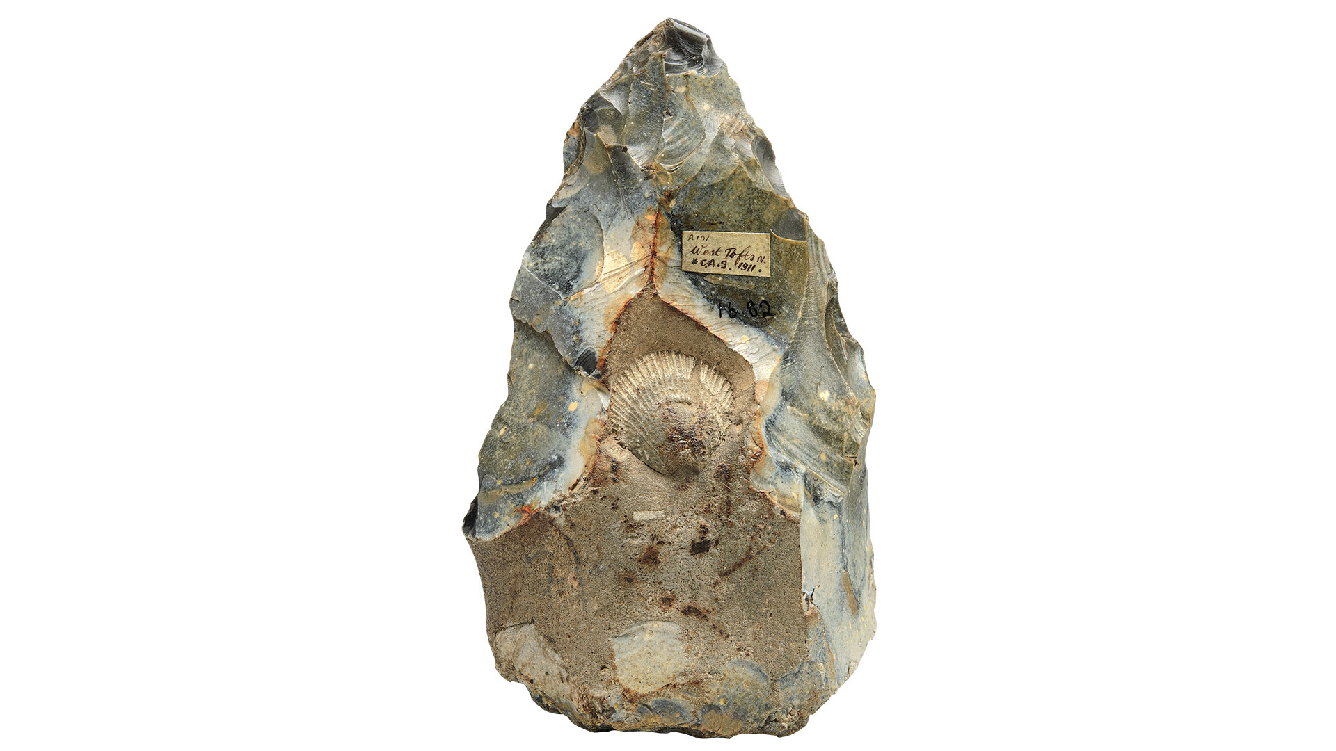 οι-ροντέν-των-νεάντερταλ-562638820