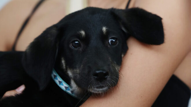 από-τον-εφιάλτη-των-πυρκαγιών-στην-αγκ-562594135