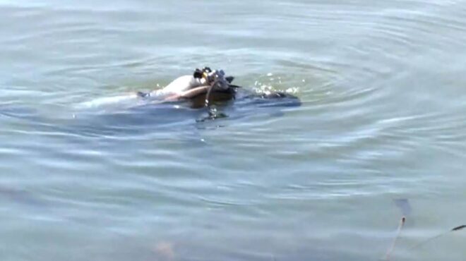 πλημμύρες-πήλιο-δύτες-ψάχνουν-στη-θ-562612222