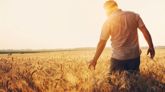 ο-κάμπος-και-οι-χαρακιές-του-χρόνου-562595872