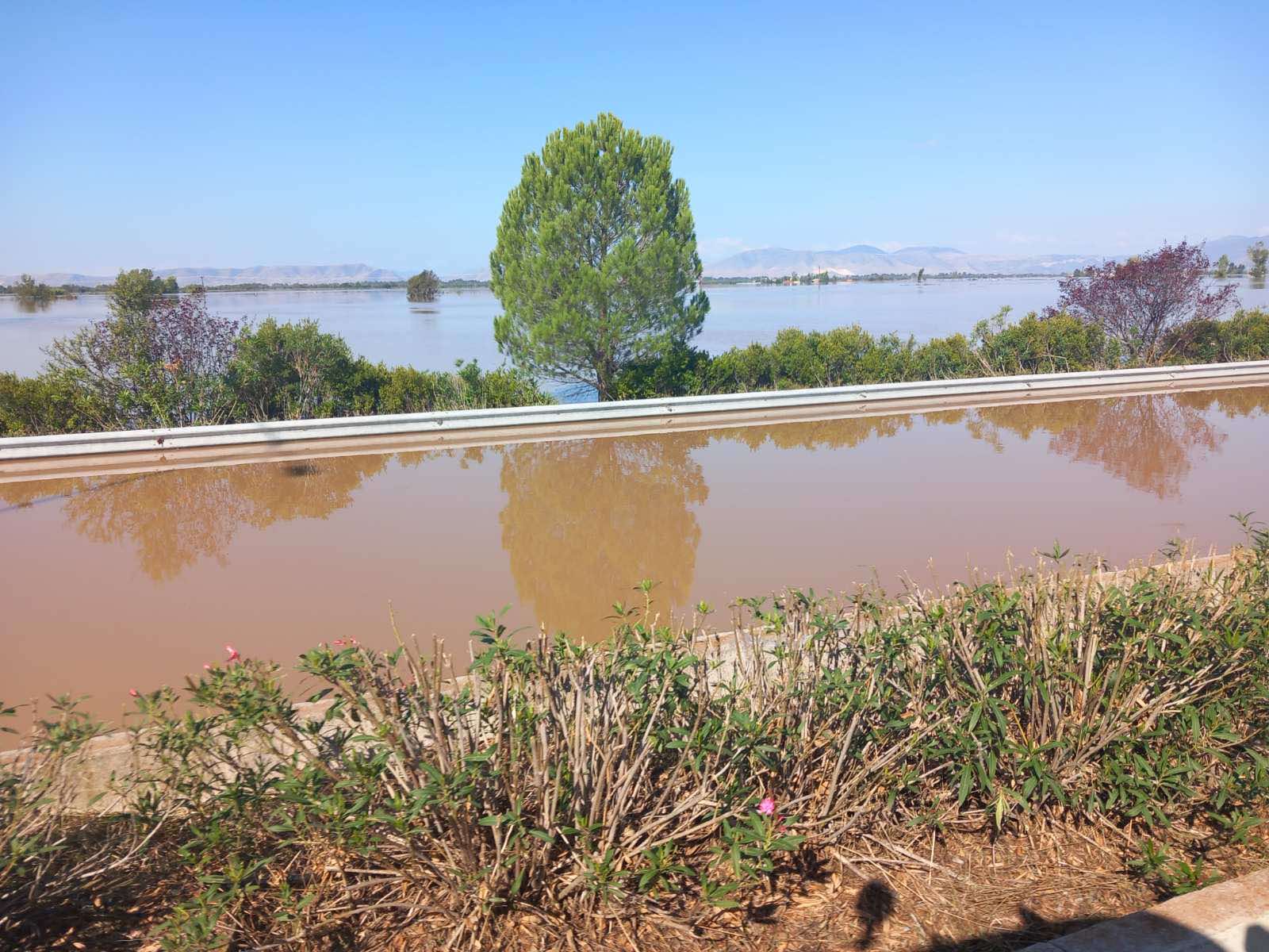 «Λίμνη» η Εθνική Οδός μετά τα Τέμπη-4
