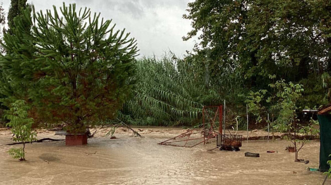 καρδίτσα-τρίτος-νεκρός-από-την-κακοκα-562601581