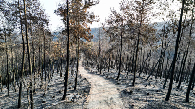 υπεν-αναστέλλονται-οι-οικονομικές-δρ-562637533