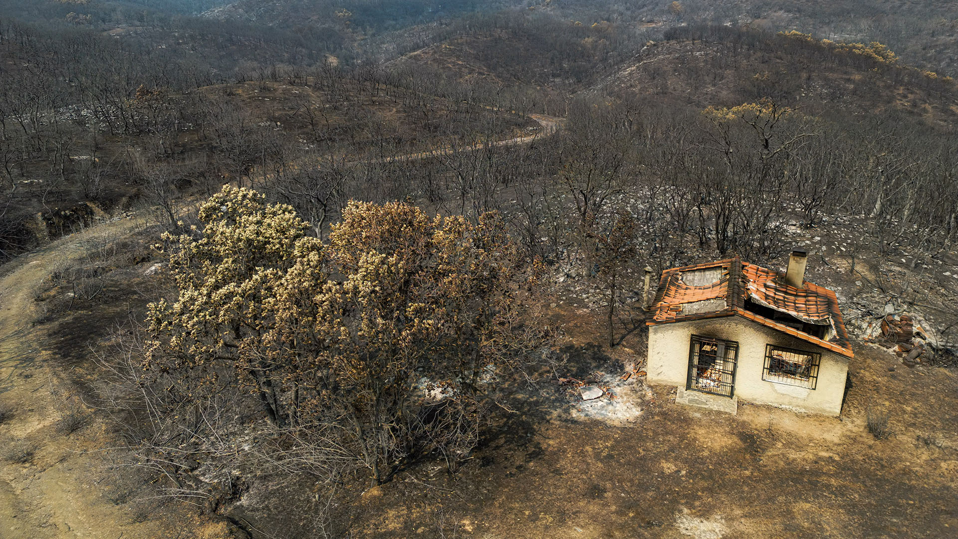 Εβρος: «Με κάθε κτηνοτρόφο που φεύγει, κλείνει ένα κατάστημα στην Αλεξανδρούπολη»-1