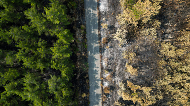 επεκτείνεται-η-πλατφόρμα-arogi-gov-gr-και-για-το-562596043