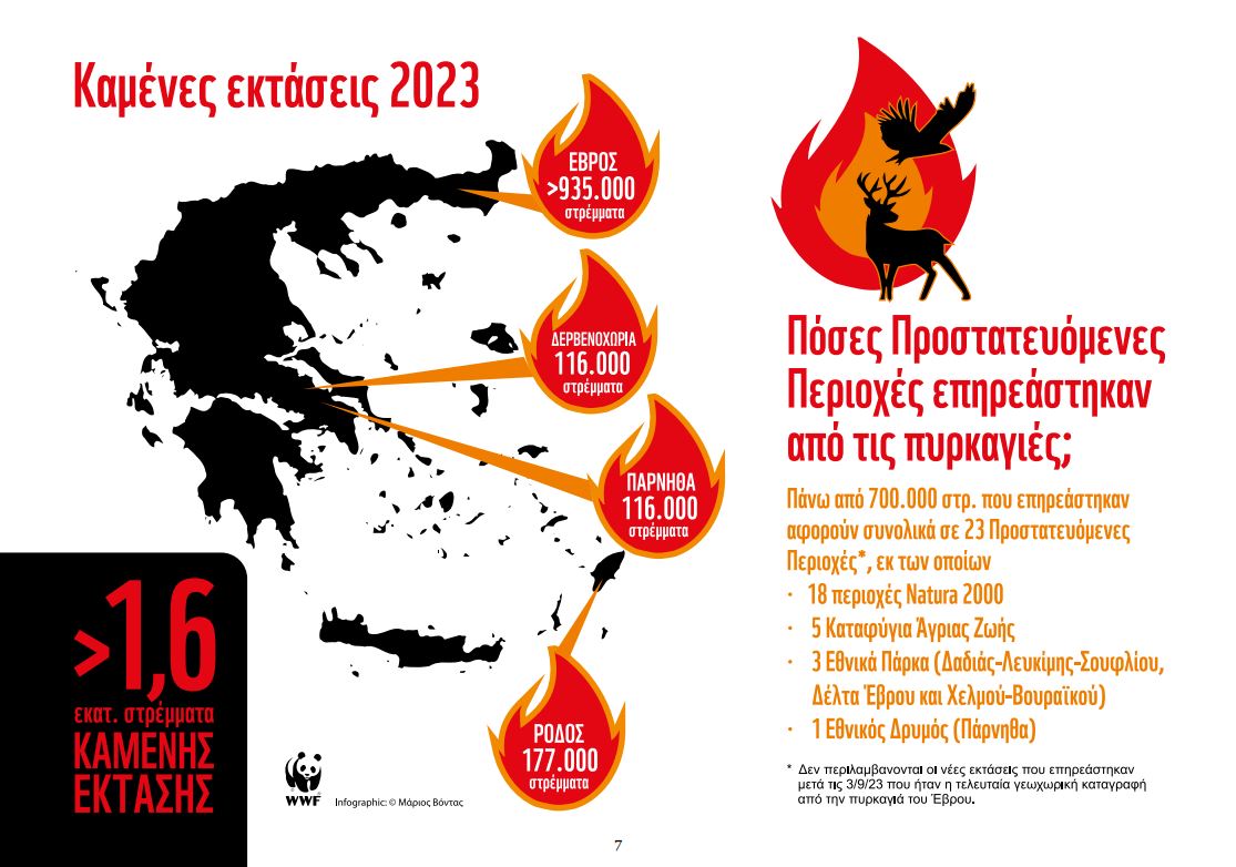 WWF: «Οι φωτιές δεν σβήνονται από τον δρόμο»-1