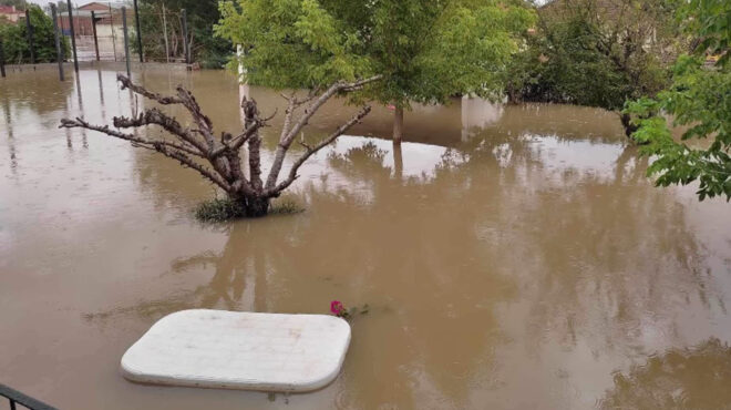 μαρτυρίες-κατοίκων-στην-κ-κάντε-υπ-562605106