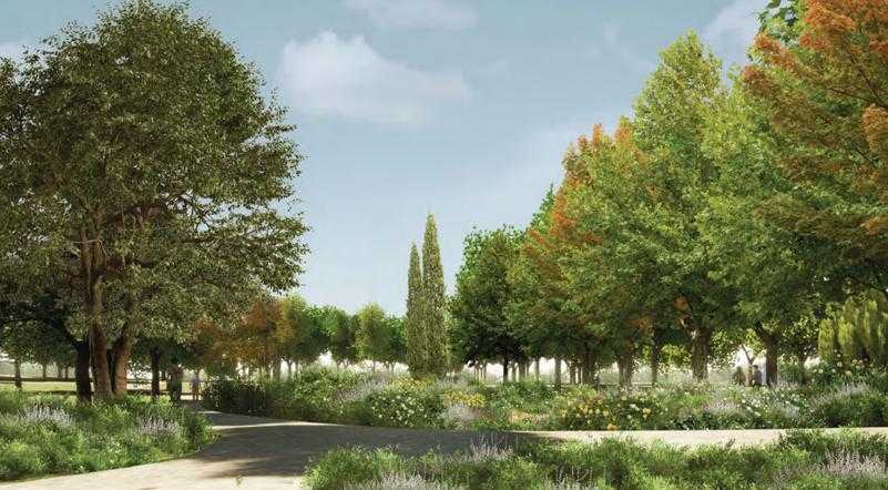 Τατόι: Πώς θα είναι οι κήποι μετά την ανάπλαση-5