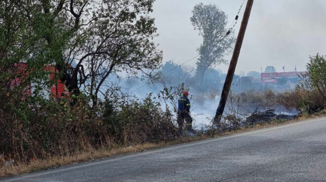 ροδόπη-πυρκαγιά-σε-αγροτική-έκταση-562635334
