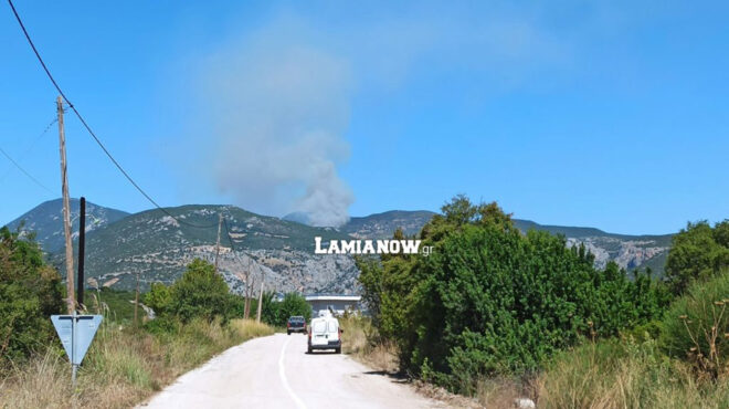 φθιώτιδα-πυρκαγιά-σε-δασική-έκταση-562614397