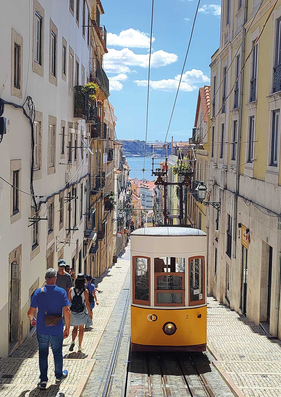 Δρομολόγια: Ενας γλάρος κουβαλάει το saudade-1