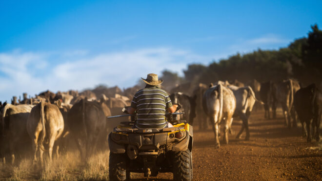 δεξιά-στροφή-και-ψήφος-διαμαρτυρίας-α-562639000