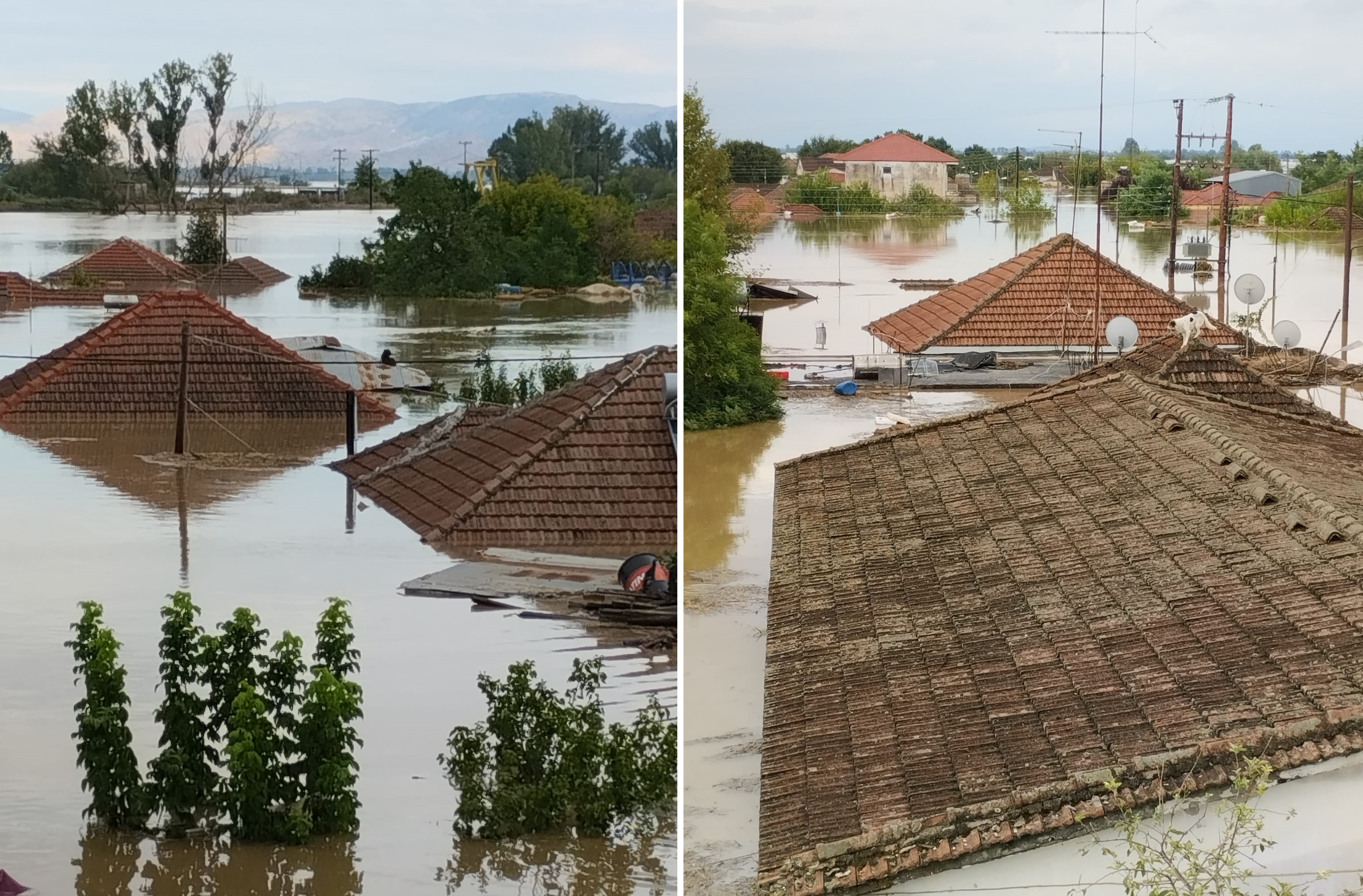Καρδίτσα – Κραυγή αγωνίας από τους κατοίκους: «Ας έρθει κάποιος να μας πάρει»-1