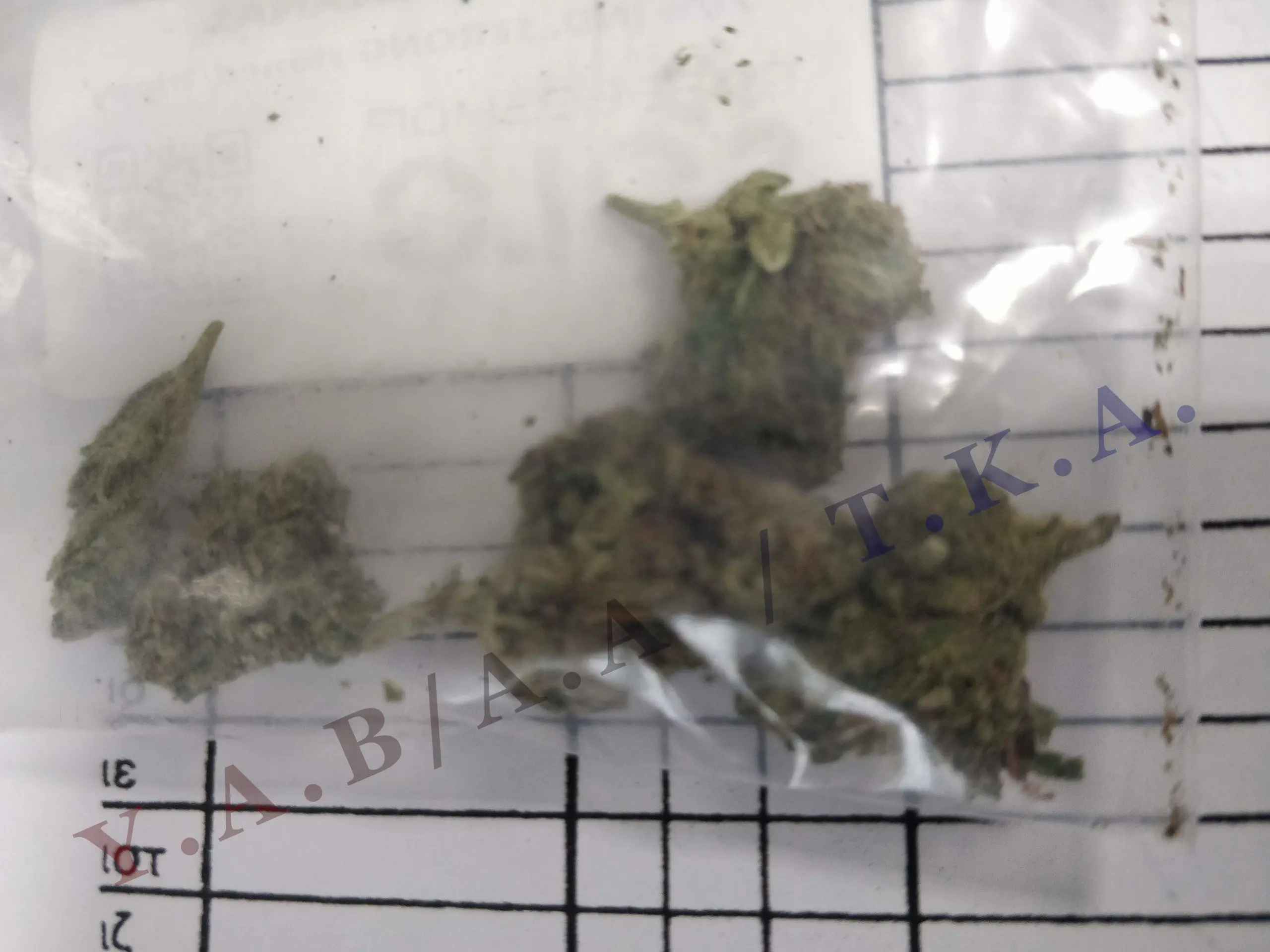 ΕΛ.ΑΣ.: 22 συλλήψεις σε ΟΑΚΑ και «Γ. Καραϊσκάκης»-1