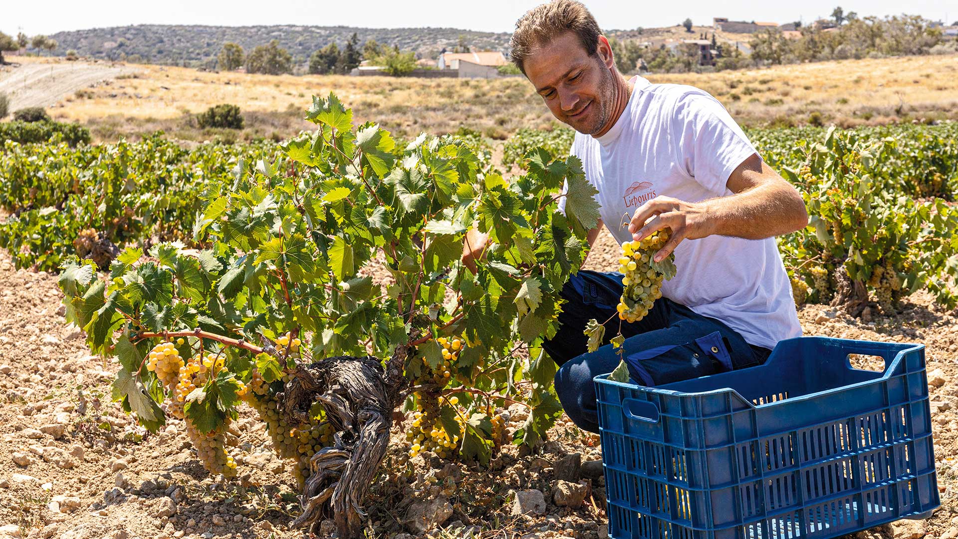 Βόλτα στα Μεσόγεια των γεύσεων και των αρωμάτων-7