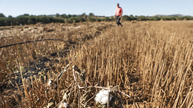 θεσσαλία-αναζητώντας-νέο-παραγωγικό-562620907