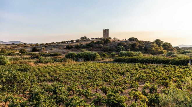 βόλτα-στα-μεσόγεια-των-γεύσεων-και-των-562624765