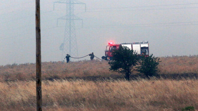 πυρκαγιά-στο-γούμερο-ηλείας-562609135