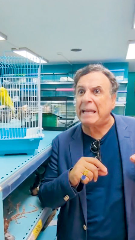 Κοψίδια, φέρετρα και παπαγάλοι-3