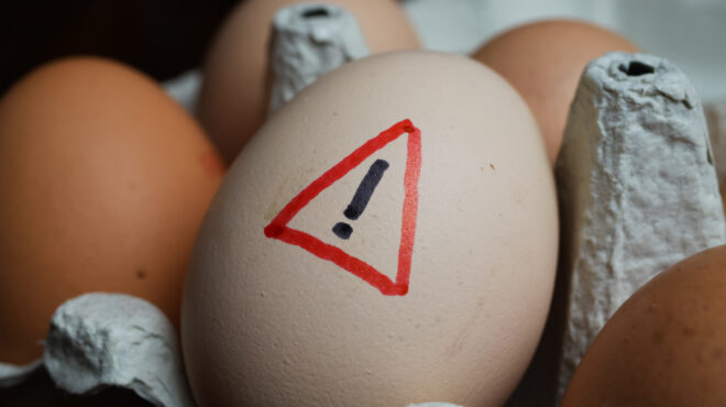 αύξηση-των-λοιμώξεων-από-σαλμονέλα-σε-562598071