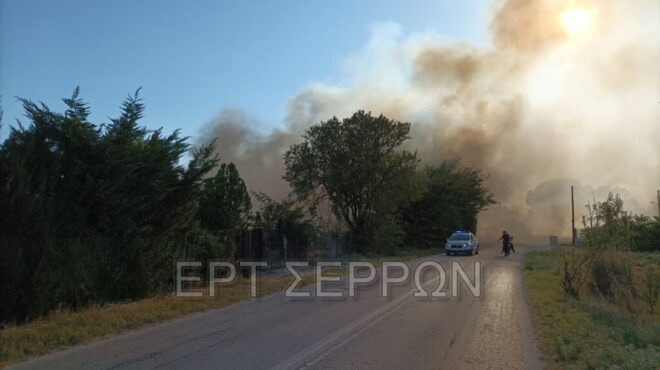 σέρρες-συνελήφθη-91χρονος-για-πρόκληση-562610728