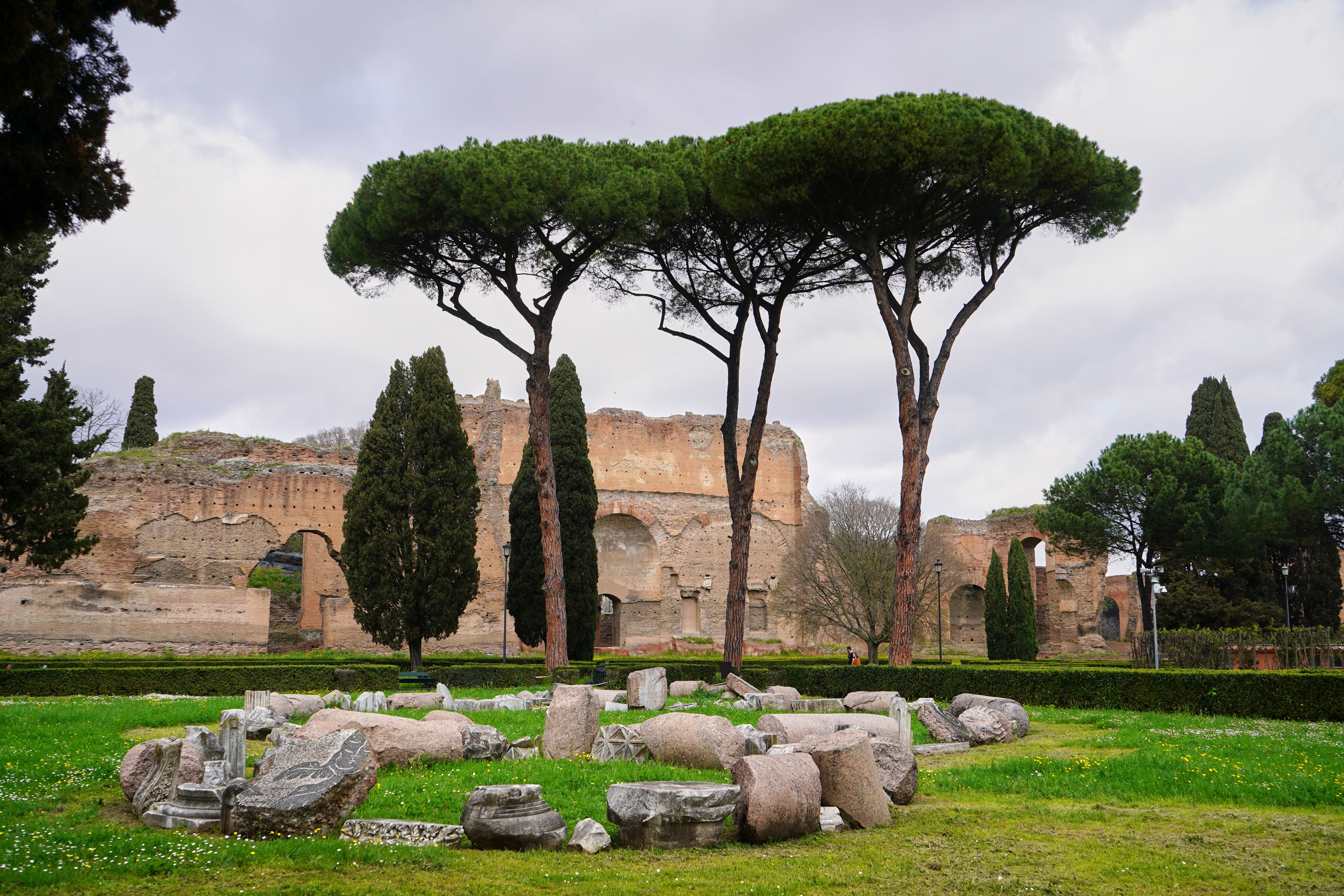 Ρώμη: Τα εμβληματικά πεύκα «ομπρέλες» της Αιώνιας Πόλης απειλούνται – και όχι μόνο από τα έντομα-1