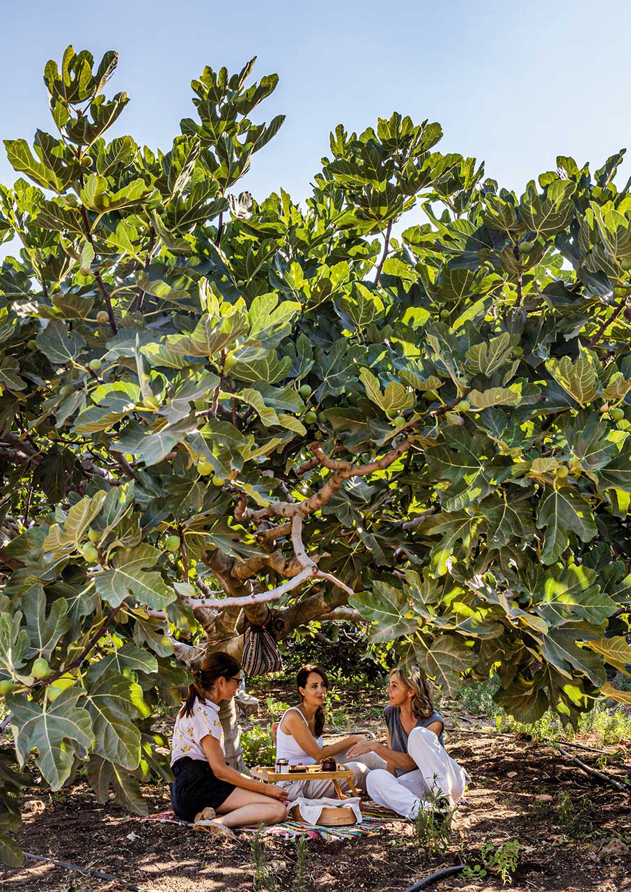 Βόλτα στα Μεσόγεια των γεύσεων και των αρωμάτων-2