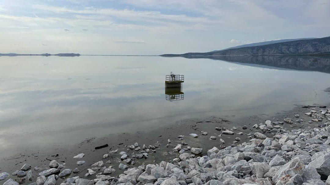 τι-είδαν-οι-ολλανδοί-στη-θεσσαλία-562644310