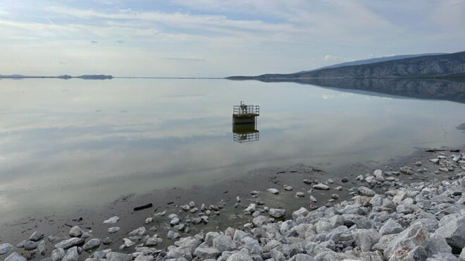 τι-είδαν-οι-ολλανδοί-στη-θεσσαλία-562644310