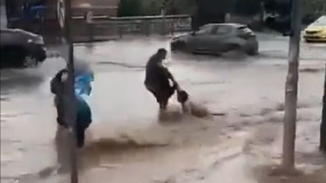 χείμαρρος-στη-βασιλίσσης-σοφίας-παρ-562601986