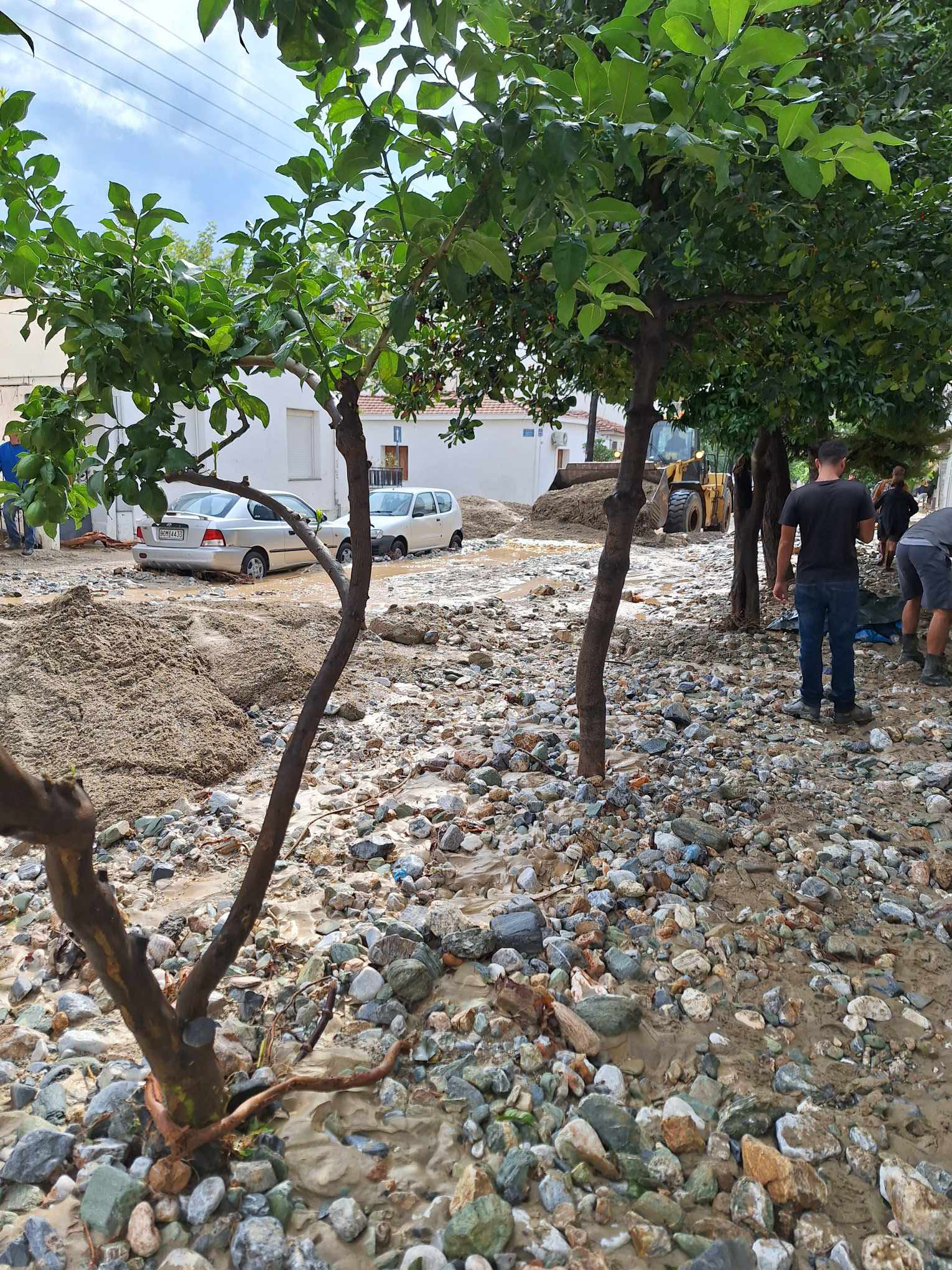 Οι κάτοικοι του Βόλου μετρούν ξανά πληγές – «Θα μας πάρει καιρό να συνέλθουμε»-5