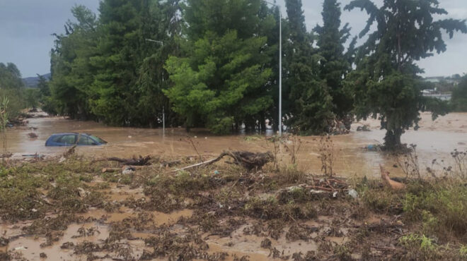 αγώνας-για-νερό-και-φαγητό-σε-μια-διαλυ-562603867