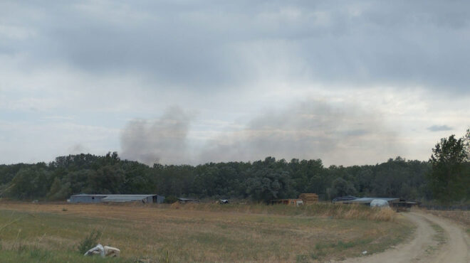 ξάνθη-πυρκαγιά-σε-δασική-έκταση-562639744