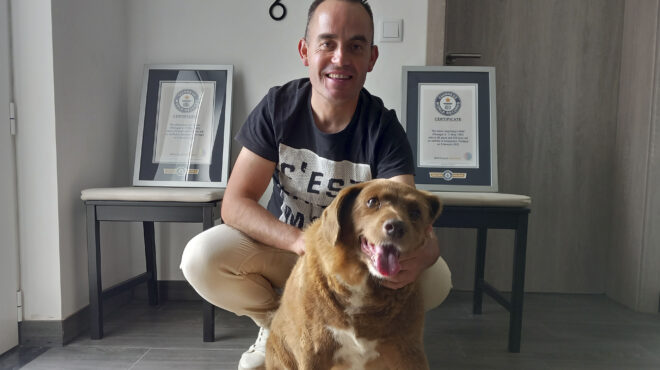 πόσων-χρόνων-ήταν-τελικά-ο-μπόμπι-ο-γη-562699531