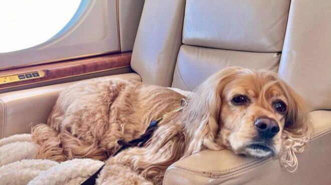 αντιδράσεις-για-την-υπηρεσία-ιδιωτικ-562648024