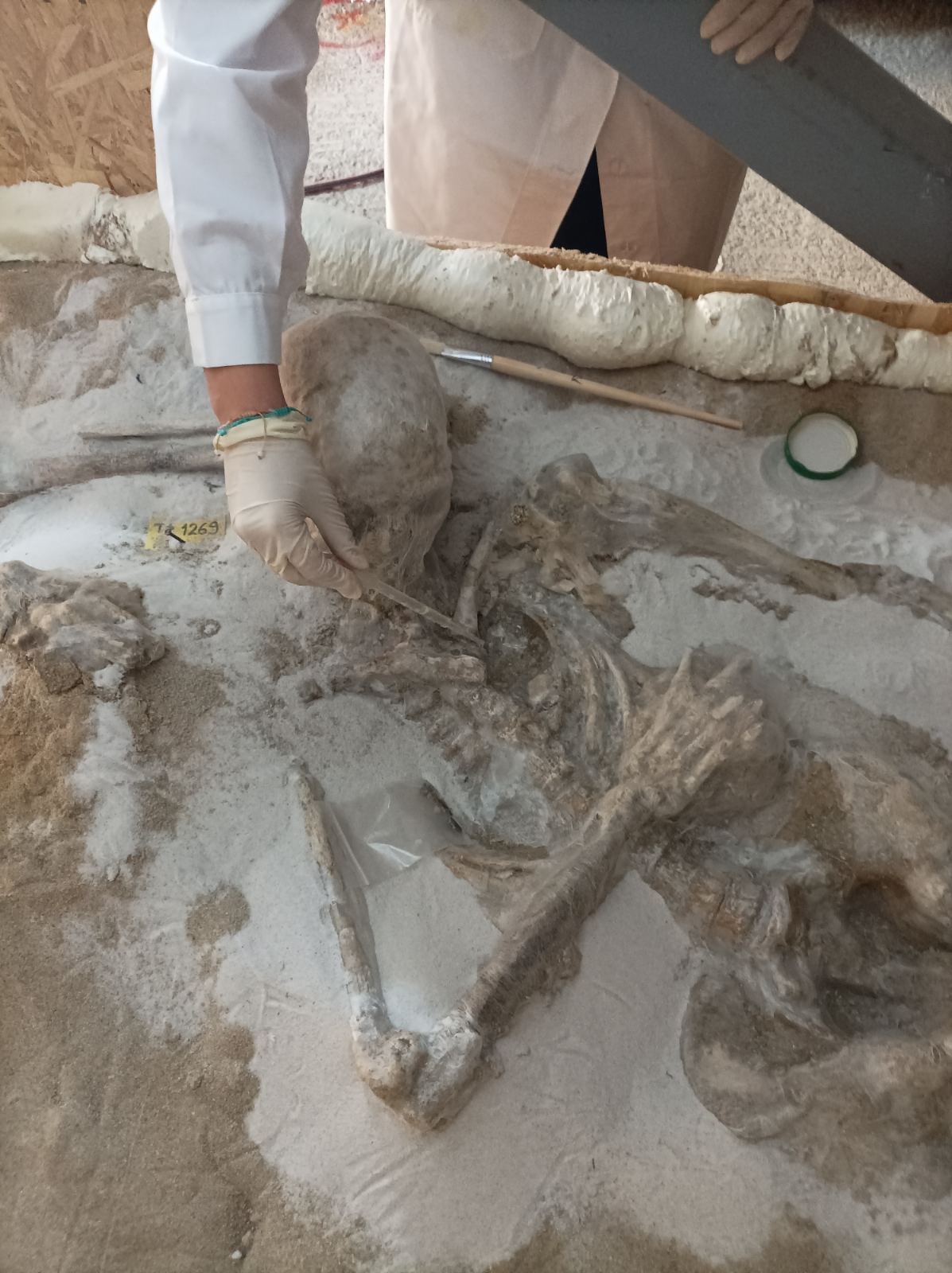 Στην «εντατική» οι Δεσμώτες του Φαλήρου-2