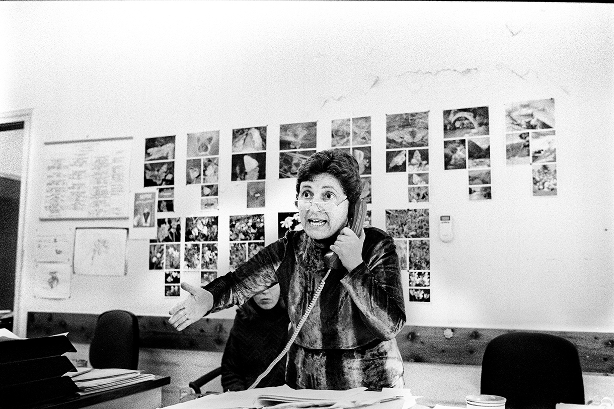 Υπάλληλοι αποκαμωμένοι από την πλήξη-19