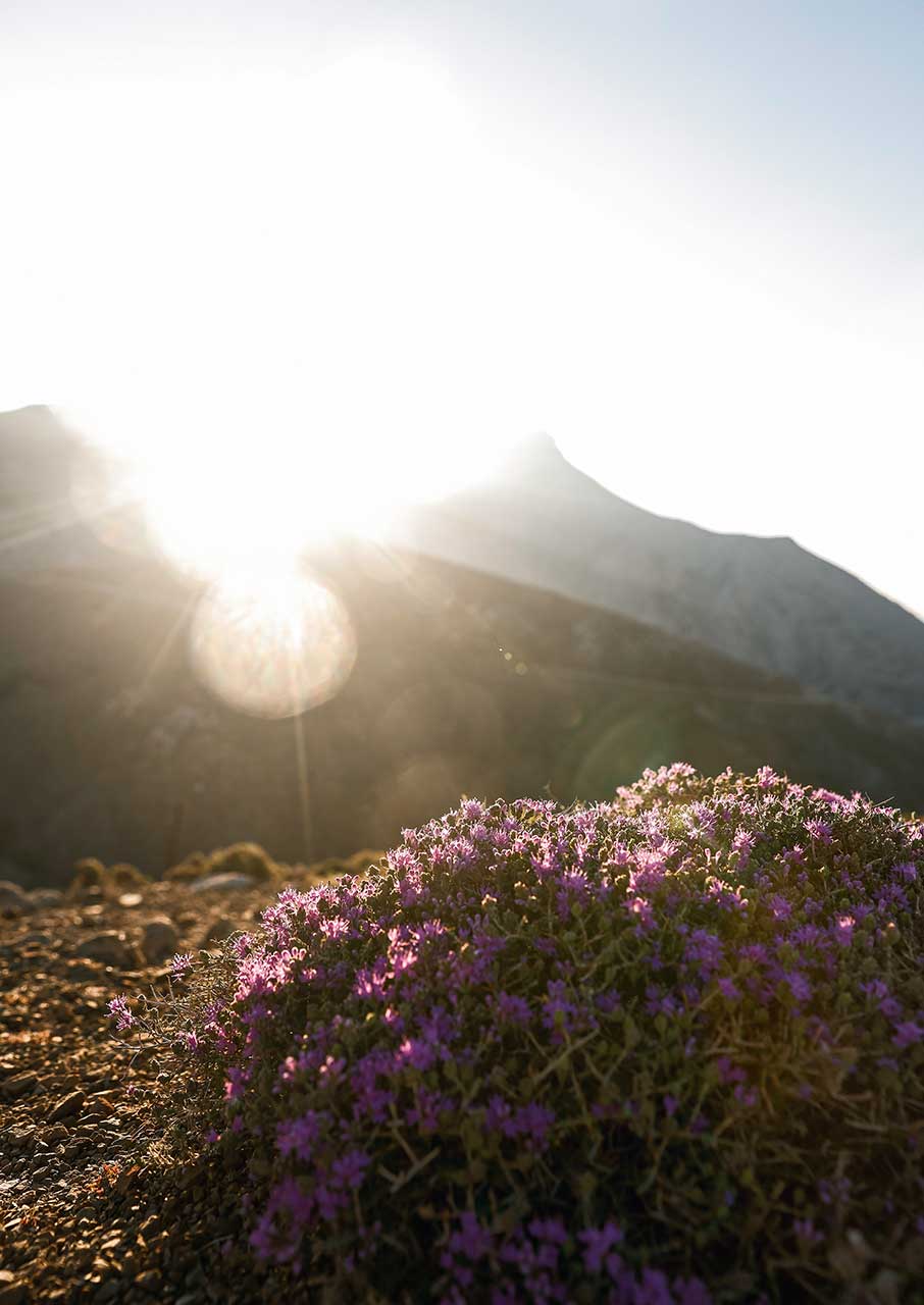 Aστερούσια: Μαθήματα ήπιας ανάπτυξης από τους βουνίσιους του νότιου Ηρακλείου-11
