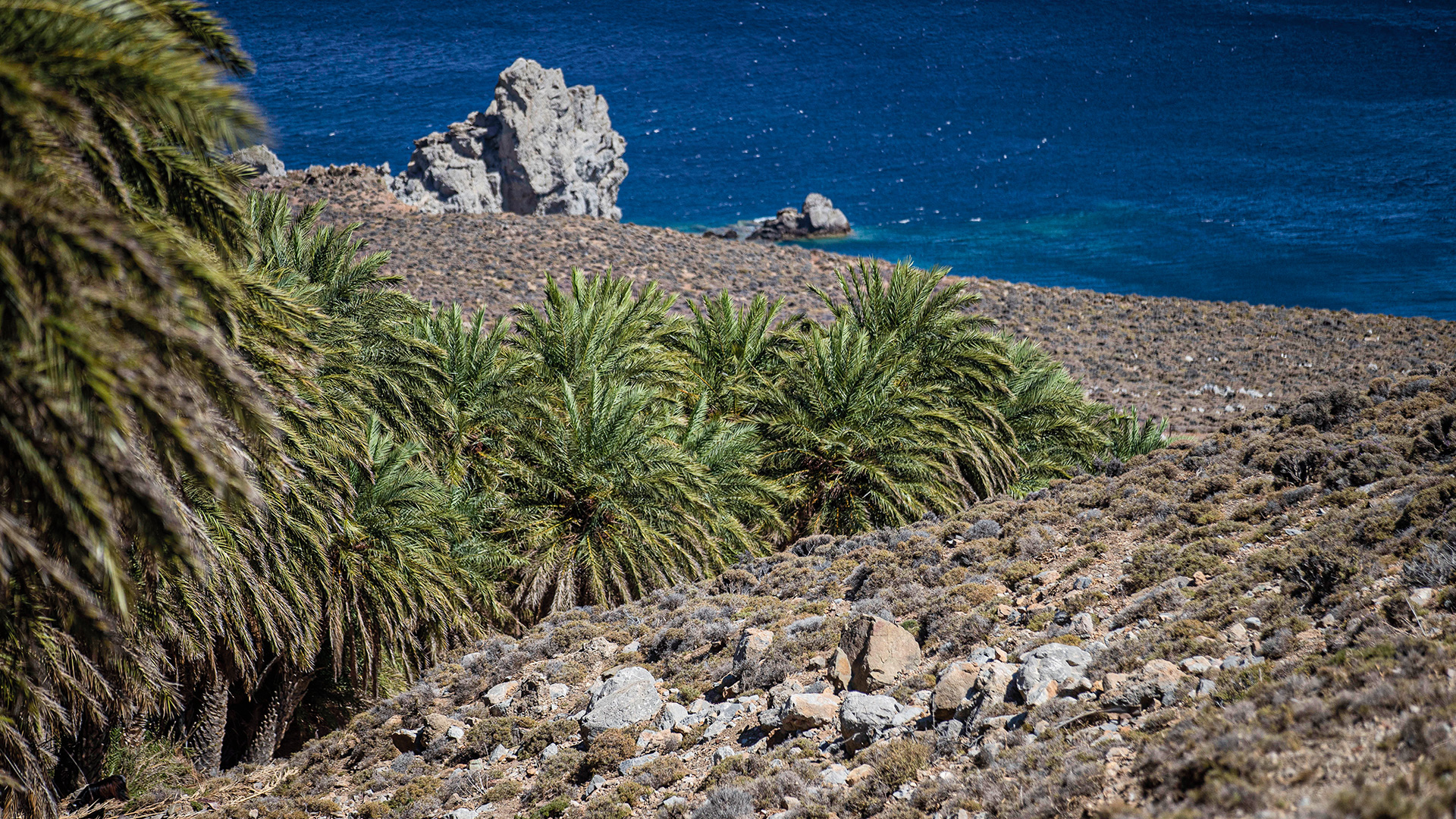 Aστερούσια: Μαθήματα ήπιας ανάπτυξης από τους βουνίσιους του νότιου Ηρακλείου-7