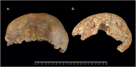 Ο κανιβαλισμός ήταν «κοινή ταφική τακτική στην Ευρώπη» πριν από 15.000 χρόνια-1