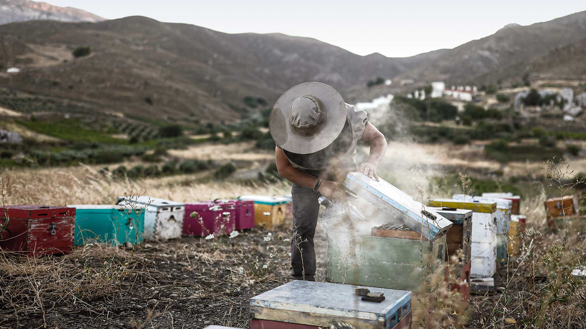 Aστερούσια: Μαθήματα ήπιας ανάπτυξης από τους βουνίσιους του νότιου Ηρακλείου-3