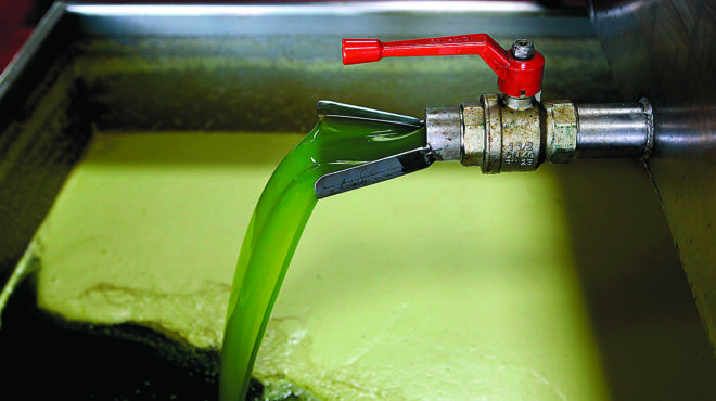 ιοβε-ανάπτυξη-24-για-φέτος-και-το-2024-562680565