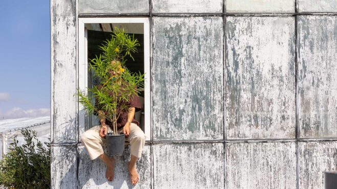 θιβετιά-τι-κινδύνους-κρύβουν-οι-σπόρο-562684009