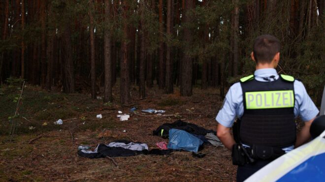 γερμανία-εκκληση-στάινμαϊερ-να-τεθεί-562649896